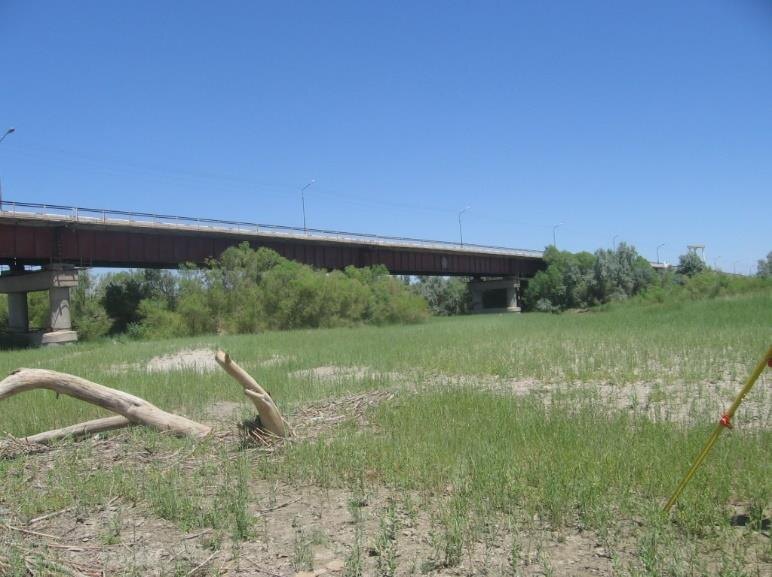 Bridge over the Ili river at PK 155+78, Almaty – Kokpek – Chundzha – Koktal – Khorgos road